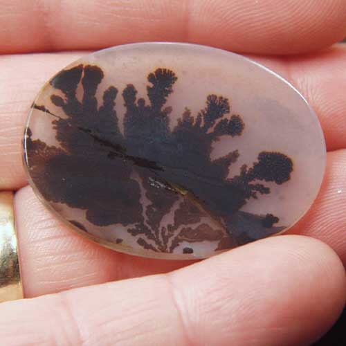 All Natural Fine Quality Dendritic Agate India Litnon.com