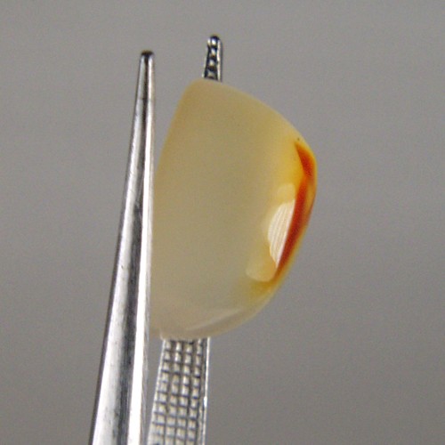 Ultra Rare Indonesian Letter  Litnon.com