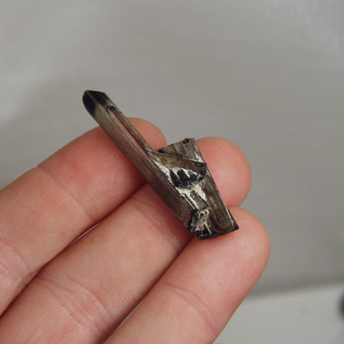 Collectors Tourmaline Crystal Specimen Afghanistan  Litnon.com