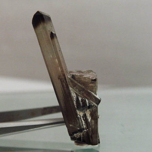 Collectors Tourmaline Crystal Specimen Afghanistan  Litnon.com