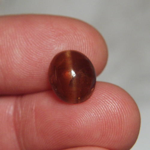 Rare Golden Brown Cats-eye Apatite Sri Lanka 7.37 ct  Litnon.com