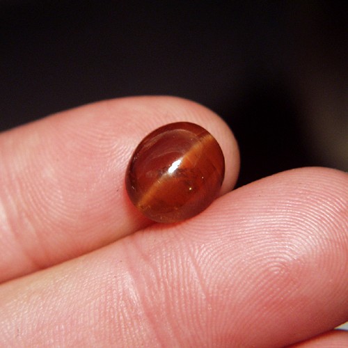 Rare Golden Brown Cats-eye Apatite Sri Lanka 7.37 ct  Litnon.com