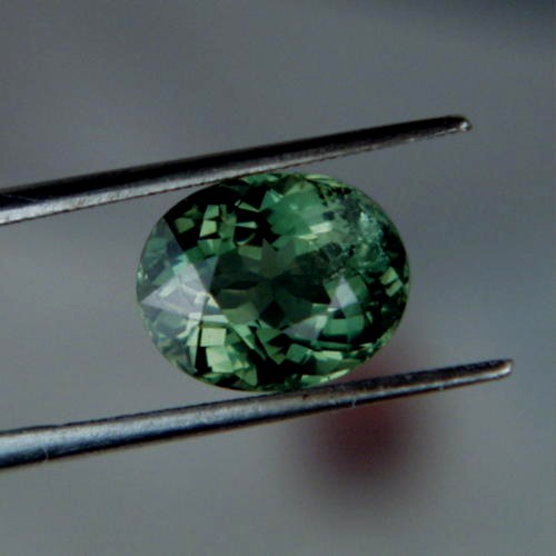 Collectors Gem Rare Green Apatite Sri Lanka 4.20 ct  Litnon.com