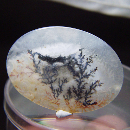 All Natural Fine Quality Dendritic Agate India  Litnon.com