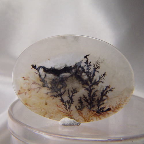 All Natural Fine Quality Dendritic Agate India  Litnon.com