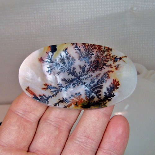 Museum Quality World Class Dendritic Agate  Litnon.com