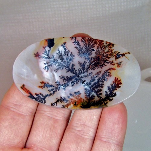 Museum Quality World Class Dendritic Agate  Litnon.com
