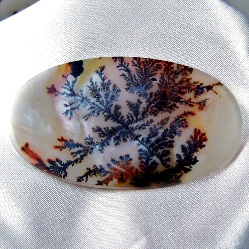 Museum Quality World Class Dendritic Agate  Litnon.com