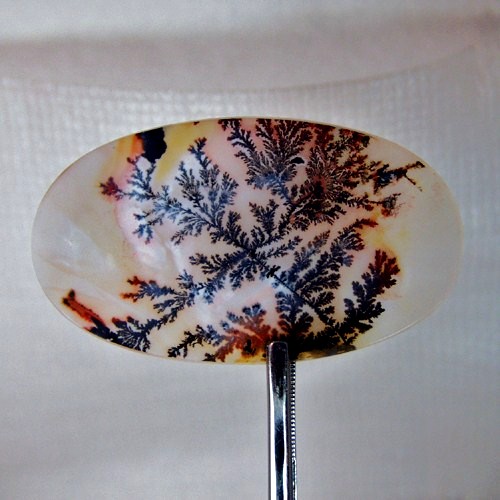Museum Quality World Class Dendritic Agate  Litnon.com