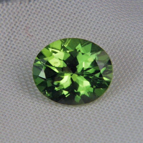 Top Gem Fine Cut and Color Pakistan Peridot 4.75 ct  Litnon.com