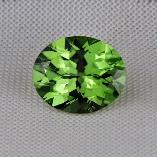 Top Gem Fine Cut and Color Pakistan Peridot 4.75 ct  Litnon.com