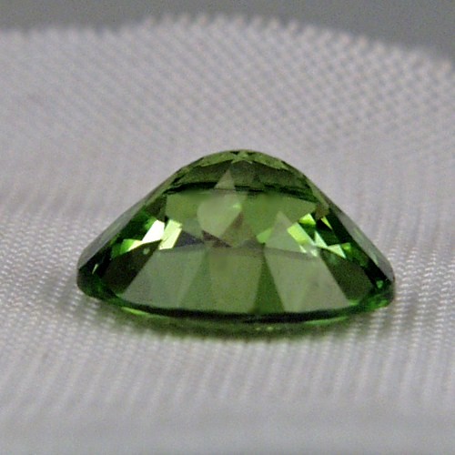 Top Gem Fine Cut and Color Pakistan Peridot 4.75 ct  Litnon.com