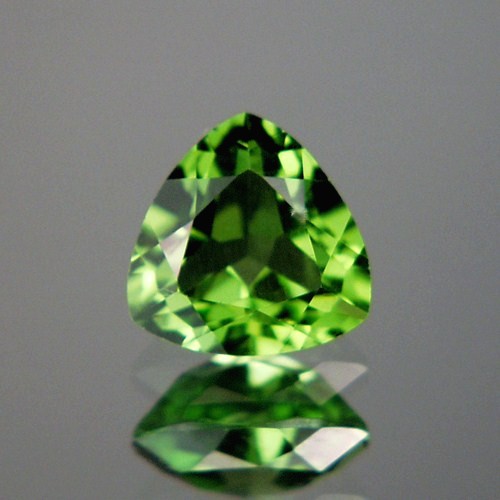 Top Gem Fine Cut and Color Pakistan Peridot 4.48 ct  Litnon.com