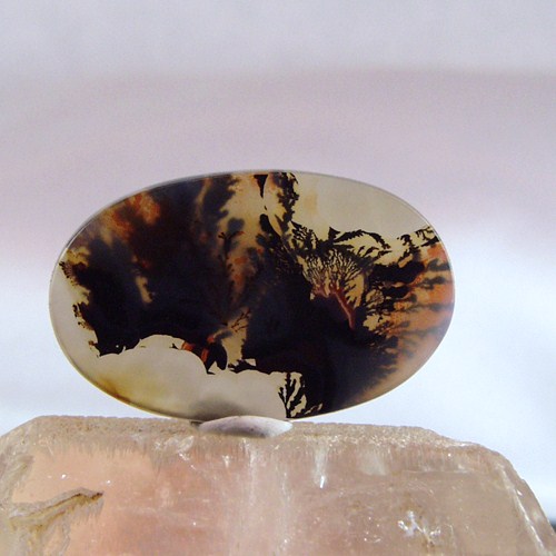 Funky Mixup Dendritic Agate Gem Stone Rock Litnon.com