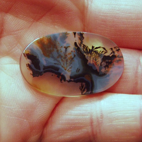 Funky Mixup Dendritic Agate Gem Stone Rock Litnon.com