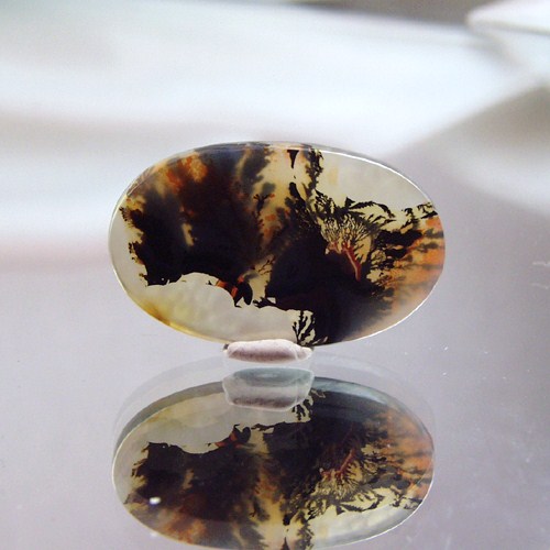 Funky Mixup Dendritic Agate Gem Stone Rock Litnon.com