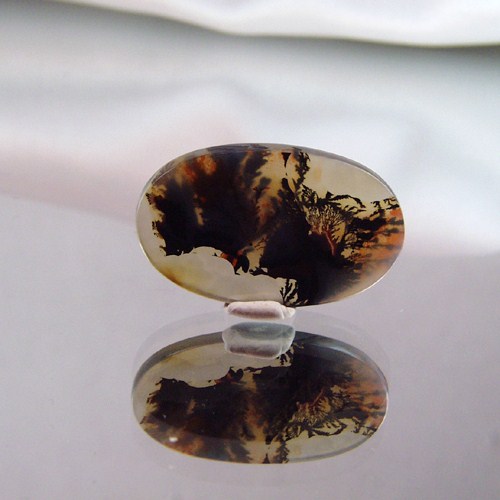 Funky Mixup Dendritic Agate Gem Stone Rock Litnon.com