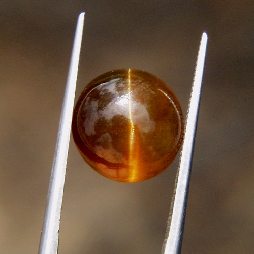 Rare Golden Brown Cats-Eye Apatite Sri Lanka 5.65ct  Litnon.com