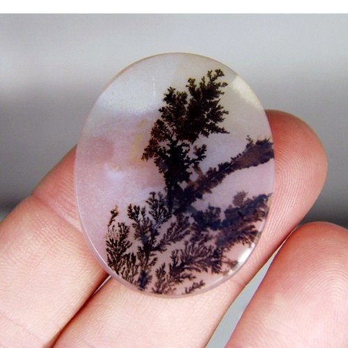  Rare and Fine Quality Scenic Dendritic Agate  Litnon.com