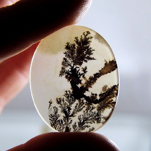  Rare and Fine Quality Scenic Dendritic Agate  Litnon.com