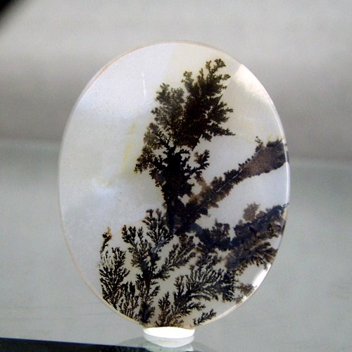  Rare and Fine Quality Scenic Dendritic Agate  Litnon.com