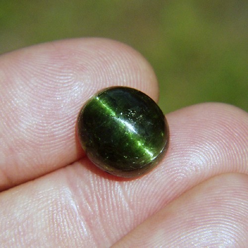 Big Sharp Cats Eye Green Tourmaline Brazil 12.55 ct  Litnon.com