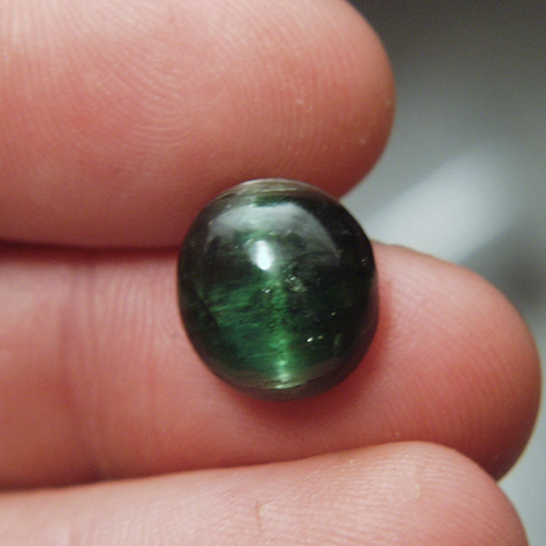Big Sharp Cats Eye Green Tourmaline Brazil 12.55 ct  Litnon.com
