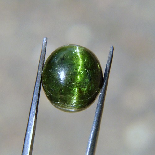 Big Sharp Cats Eye Green Tourmaline Brazil 12.55 ct  Litnon.com
