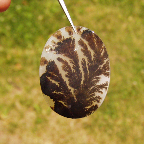 Big Marvelous Rare Dendritic Agate Gem Stone India  Litnon.com