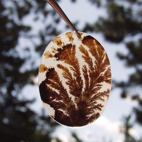 Big Marvelous Rare Dendritic Agate Gem Stone India  Litnon.com