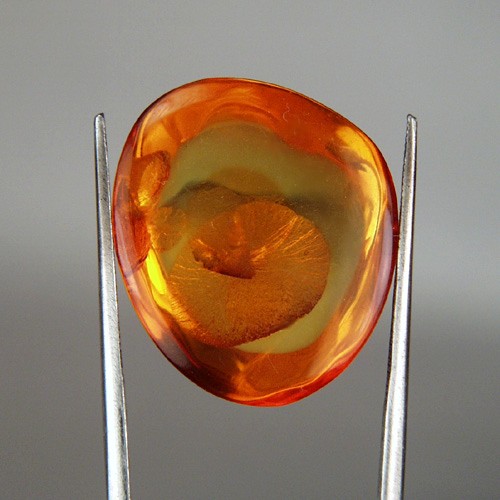 Natural Baltic Amber Cabochon Russia 11.63 ct  Litnon.com