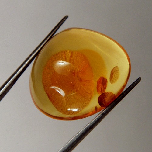Natural Baltic Amber Cabochon Russia 11.63 ct  Litnon.com