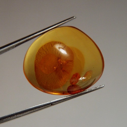 Natural Baltic Amber Cabochon Russia 11.63 ct  Litnon.com