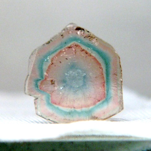 Rare colors Natural Tourmaline Slice Brazil  Litnon.com