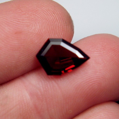 Free Shipping Fancy Cut Umba River Garnet 3.96 ct  Litnon.com