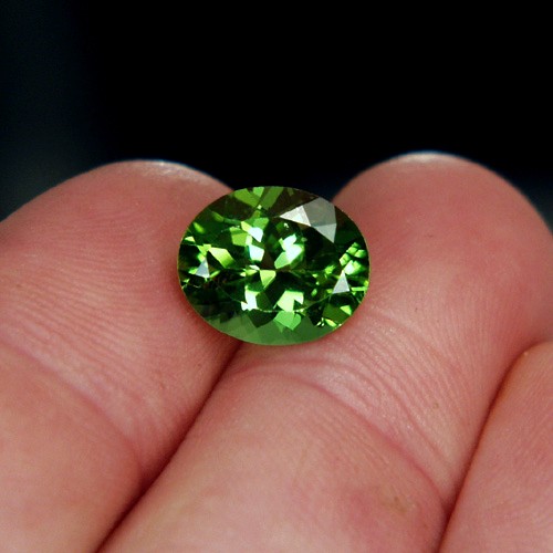 Top Gem Fine Cut and Color Pakistan Peridot 4.33 ct  Litnon.com