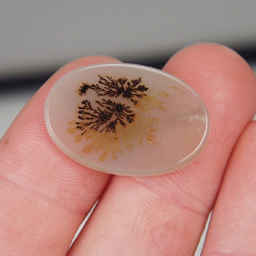  Rare and Fine Quality Scenic Dendritic Agate  Litnon.com