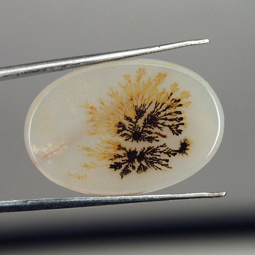  Rare and Fine Quality Scenic Dendritic Agate  Litnon.com