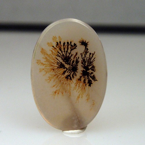  Rare and Fine Quality Scenic Dendritic Agate  Litnon.com