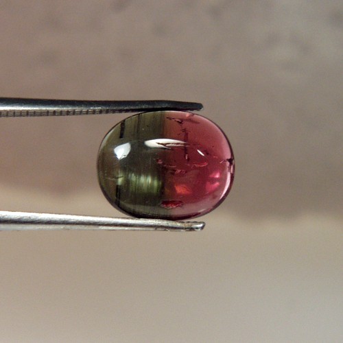 Bi-Color Cats-Eye Tourmaline Ahghanistan 2.31 ct  Litnon.com