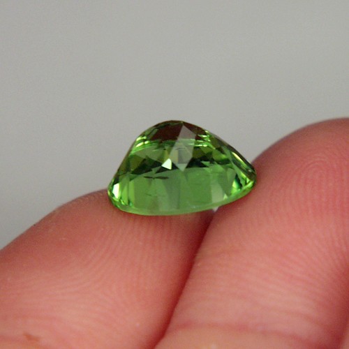 Gem Fine Cut and Color Pakistan Peridot 4.95 ct  Litnon.com