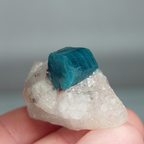 Collectors Natural Brazil Paraiba Tourmaline Specimen  Litnon.com