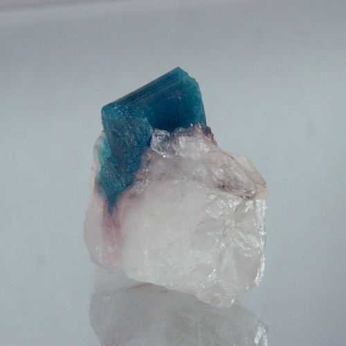 Collectors Natural Brazil Paraiba Tourmaline Specimen  Litnon.com