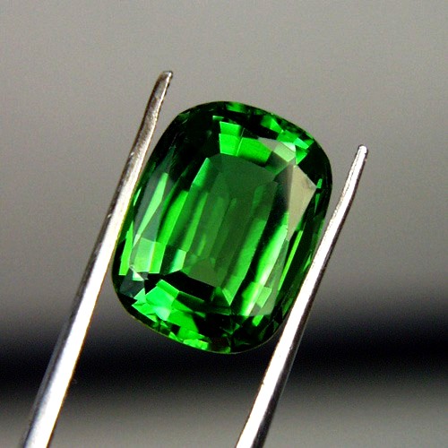 Museum Huge True Chrome Tourmaline 7.82 ct  Litnon.com