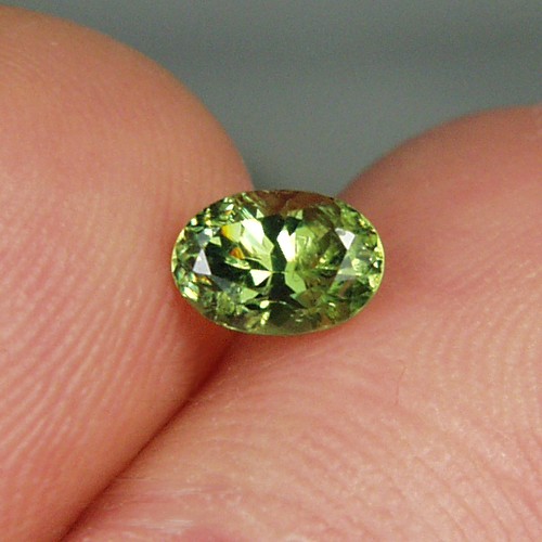 Bright and Pretty Demantoid Garnet Namibia  Litnon.com