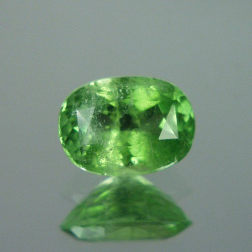 Nice Color Natural Peridot Pakistan 4.89 ct  Litnon.com