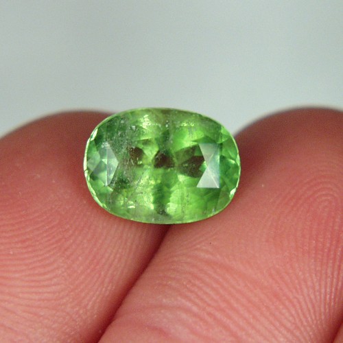 Nice Color Natural Peridot Pakistan 4.89 ct  Litnon.com