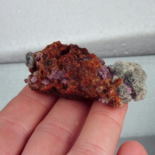 Rare Specimen Spinel and Forsterite on Orange Clinohumite  Litnon.com