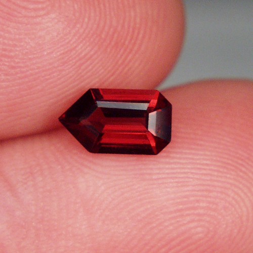 Fancy Cut Red Fire Crimson Color Umba River Garnet  Litnon.com
