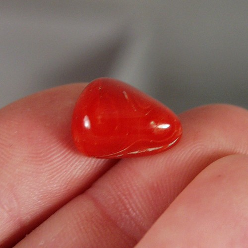 Rare Natural Ox Blood Coral Cab Italy 10.80 ct  Litnon.com